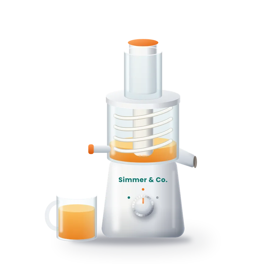 Slow Masticating Juicer