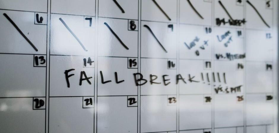 Bulk Generation vs Scheduled Publishing: Which Workflow Suits Your AI Auto Blog Writer?