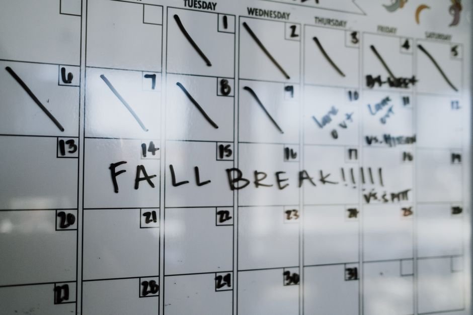 Bulk Generation vs Scheduled Publishing: Which Workflow Suits Your AI Auto Blog Writer?